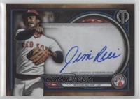 Jim Rice #/150