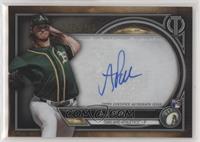 A.J. Puk #/199