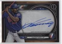 Vladimir Guerrero #/60