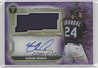 Yasmani Grandal #/75