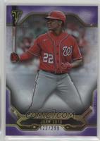 Juan Soto #/299