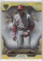 Barry Larkin #/75