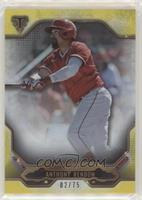 Anthony Rendon #/75