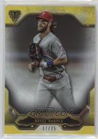 Bryce Harper #/75