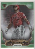 Albert Pujols #/275