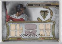 Rafael Devers #/36