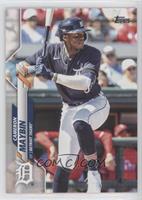 Cameron Maybin