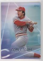Wave 3 - Johnny Bench #/8,076