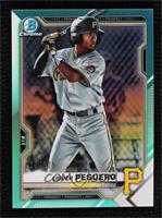 Liover Peguero #/125