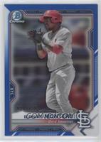 Elehuris Montero #/150