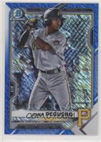 Liover Peguero #/150