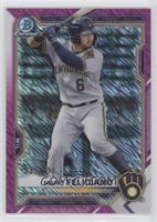 Mario Feliciano #/199