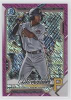 Liover Peguero #/199