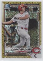 Tyler Callihan #/50