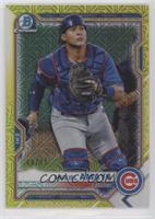 Miguel Amaya #/75