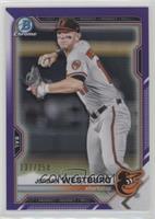 Jordan Westburg #/250