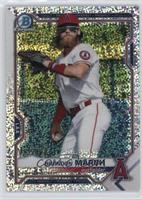 Brandon Marsh #/299