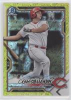 Tyler Callihan #/75