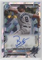 Breidy Encarnacion #/100