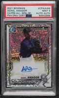 Adael Amador [PSA 9 MINT] #/299