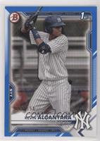 Kevin Alcantara #/150