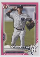Anthony Volpe #/299