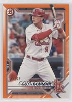 Nolan Gorman #/25