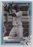 Kevin Alcantara #/499