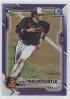 Ryan Mountcastle #/250