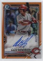 Austin Hendrick #/25