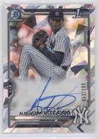 Alexander Vizcaino #/100