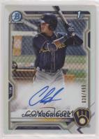 Carlos Rodriguez #/499