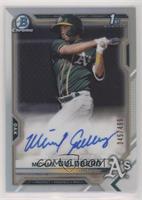 Michael Guldberg #/499