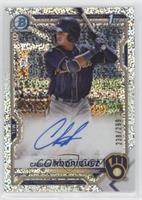 Carlos Rodriguez #/299