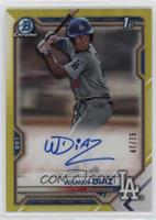 Wilman Diaz #/75