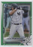 Jasson Dominguez #/99