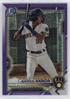 Eduardo Garcia #/250