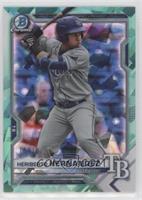 Heriberto Hernandez #/20