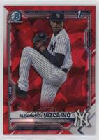 Alexander Vizcaino #/5