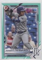 Heriberto Hernandez #/199