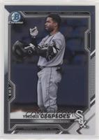 Image Variation - Yoelqui Cespedes