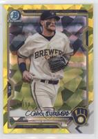 Brice Turang #/50