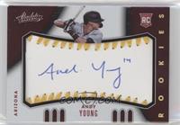 Rookie Baseball Material Signatures - Andy Young #/10