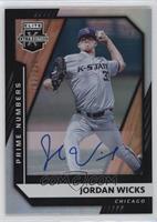 Jordan Wicks #/220