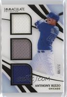 Anthony Rizzo #/99