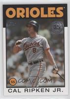 Cal Ripken Jr. [EX to NM]