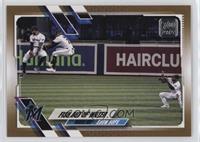 Checklist - Fish Out of Water (Marlins Show Hops) #/2,021