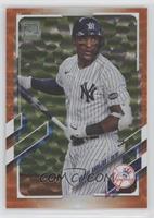 Miguel Andujar #/299