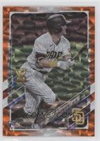 Jake Cronenworth #/299