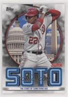 Juan Soto